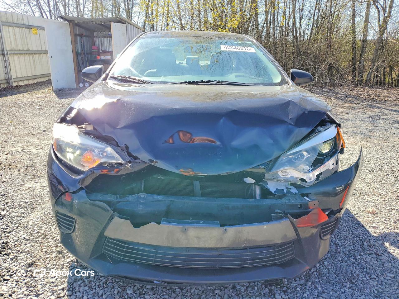 Toyota Corolla 2016
