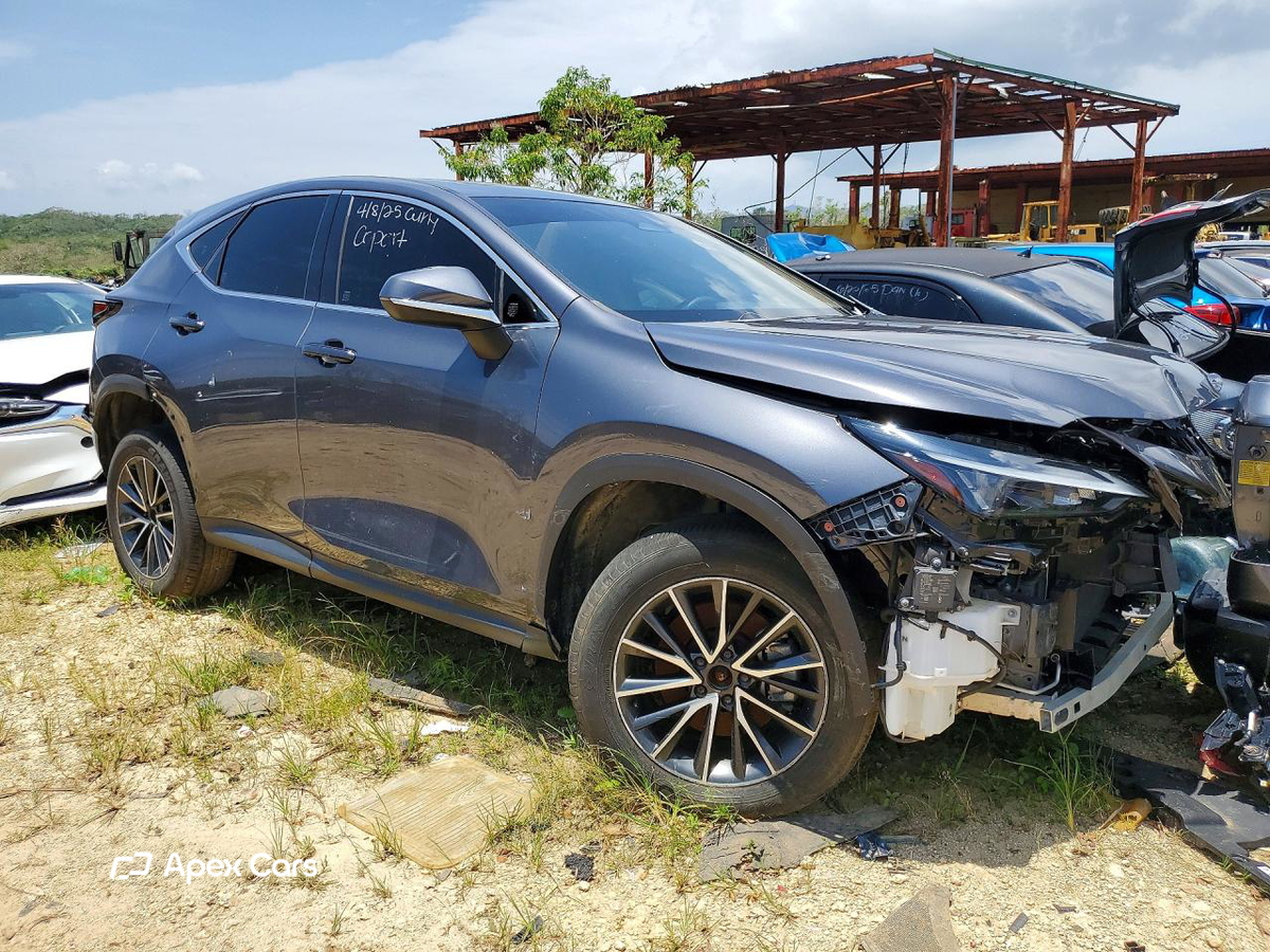Lexus NX 2024