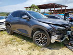 Lexus NX 2024
