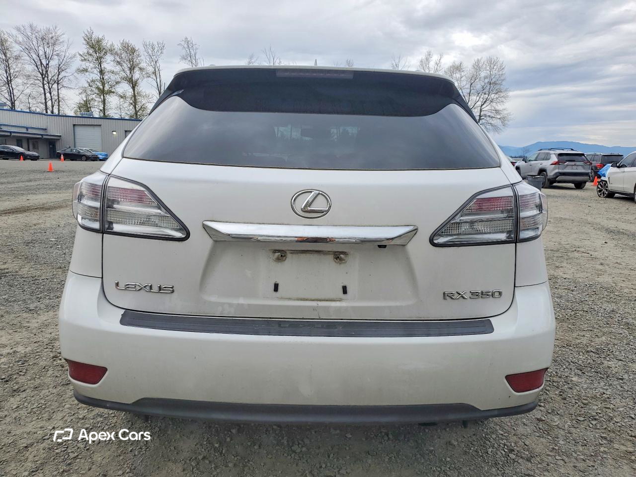Lexus RX 2010