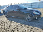 Lexus IS 2010