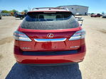 Lexus RX 2010