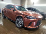 Lexus RX 2024