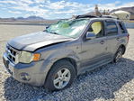 Ford Escape 2008