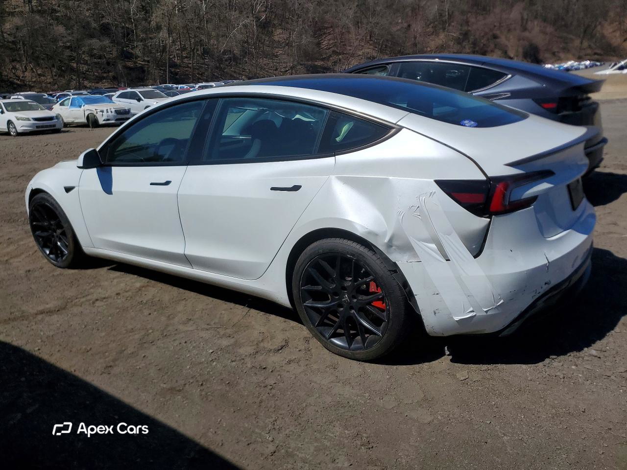 Tesla Model 3 2025