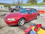 Ford Mustang 2004