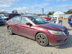Honda Accord 2013