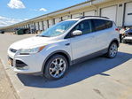 Ford Escape 2013