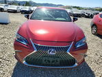Lexus ES 2020