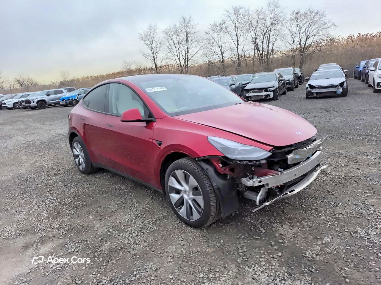 Tesla Model Y 2024