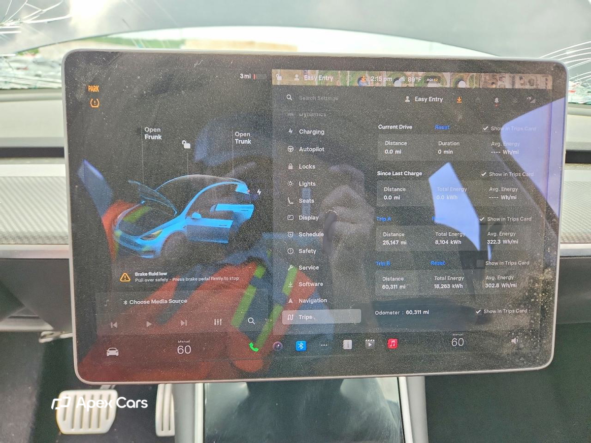 Tesla Model Y 2020