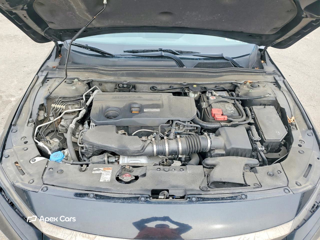 Honda Accord 2019