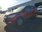 Ford Escape 2016
