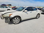 Honda Accord 2010
