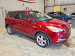 Ford Escape 2013