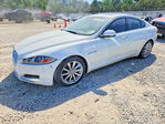 Jaguar XF 2013