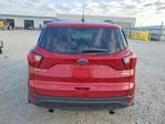 Ford Escape 2019