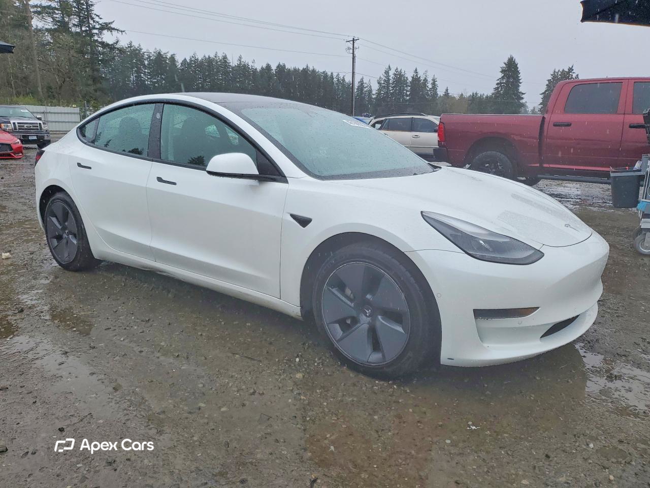 Tesla Model 3 2021