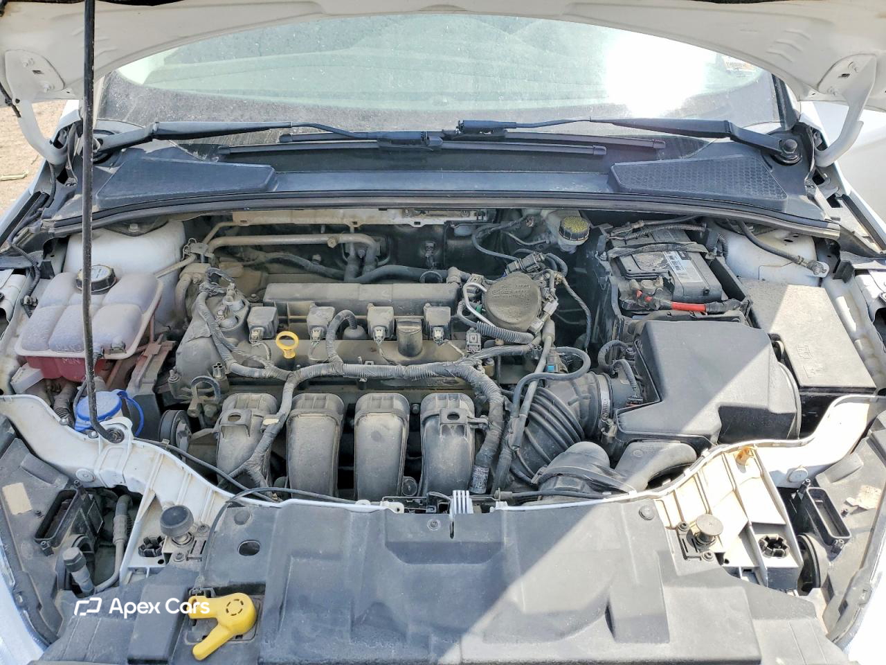 Ford Focus 2016