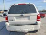 Ford Escape 2009