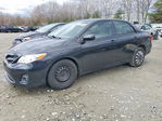 Toyota Corolla 2011