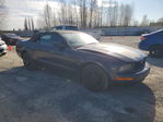 Ford Mustang 2008