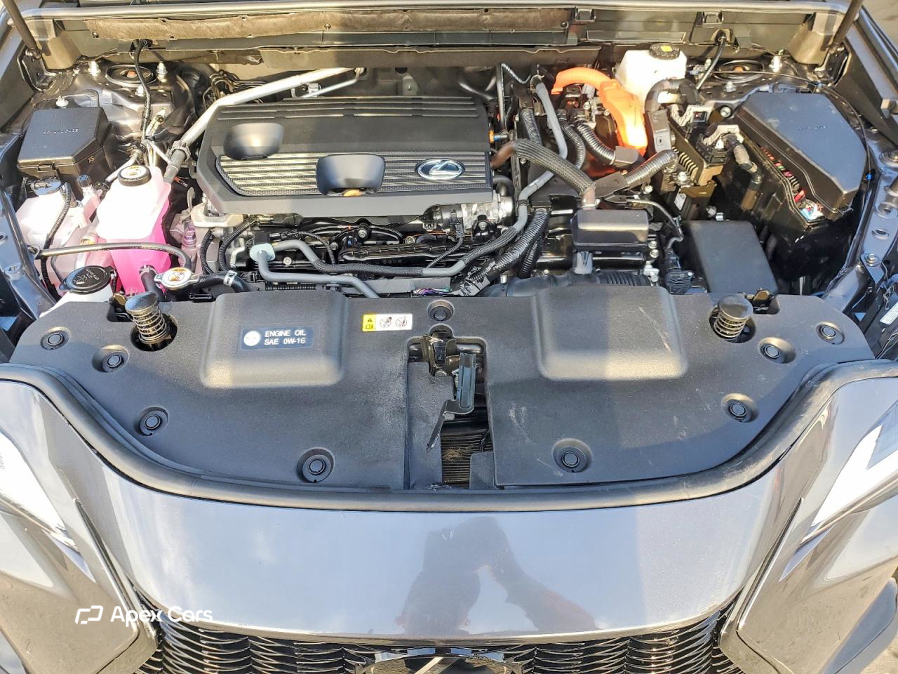 Lexus NX 2025