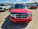 Ford Escape 2011
