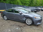 Lexus ES 2014