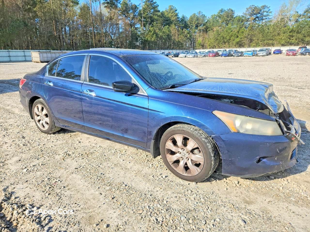 Honda Accord 2010