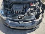 Honda Fit 2007