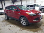Ford Escape 2014
