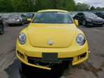 Volkswagen Beetle 2014