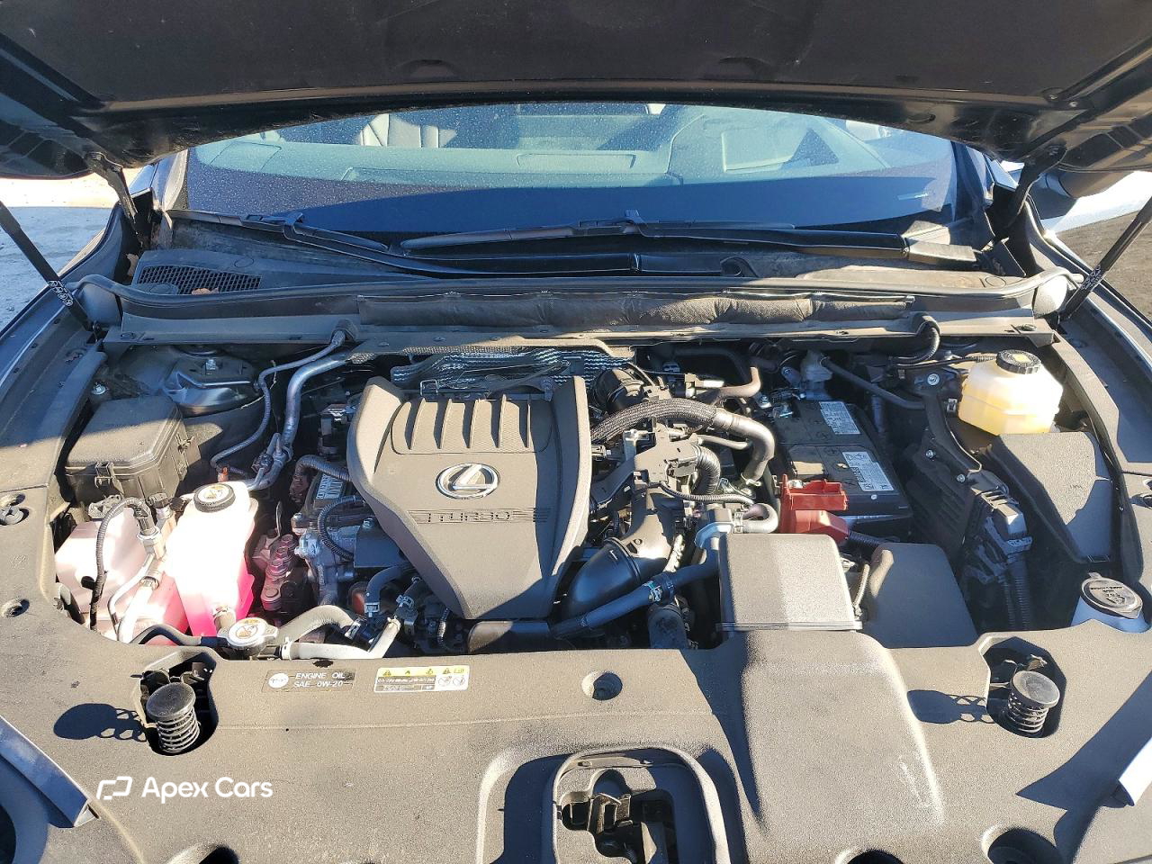 Lexus RX 2024