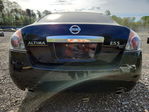 Nissan Altima 2010