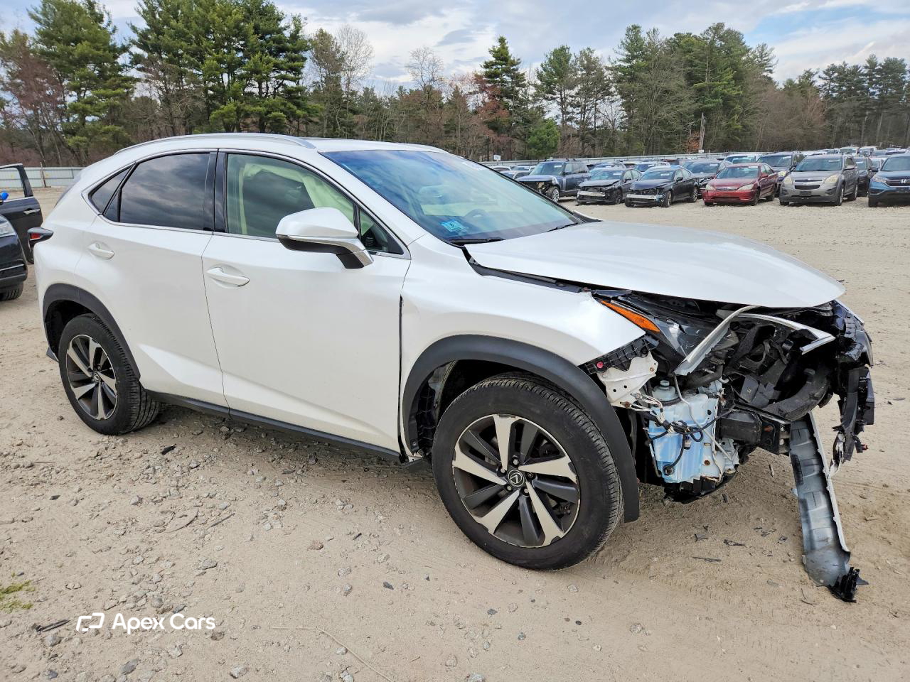 Lexus NX 2018