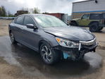 Honda Accord 2017