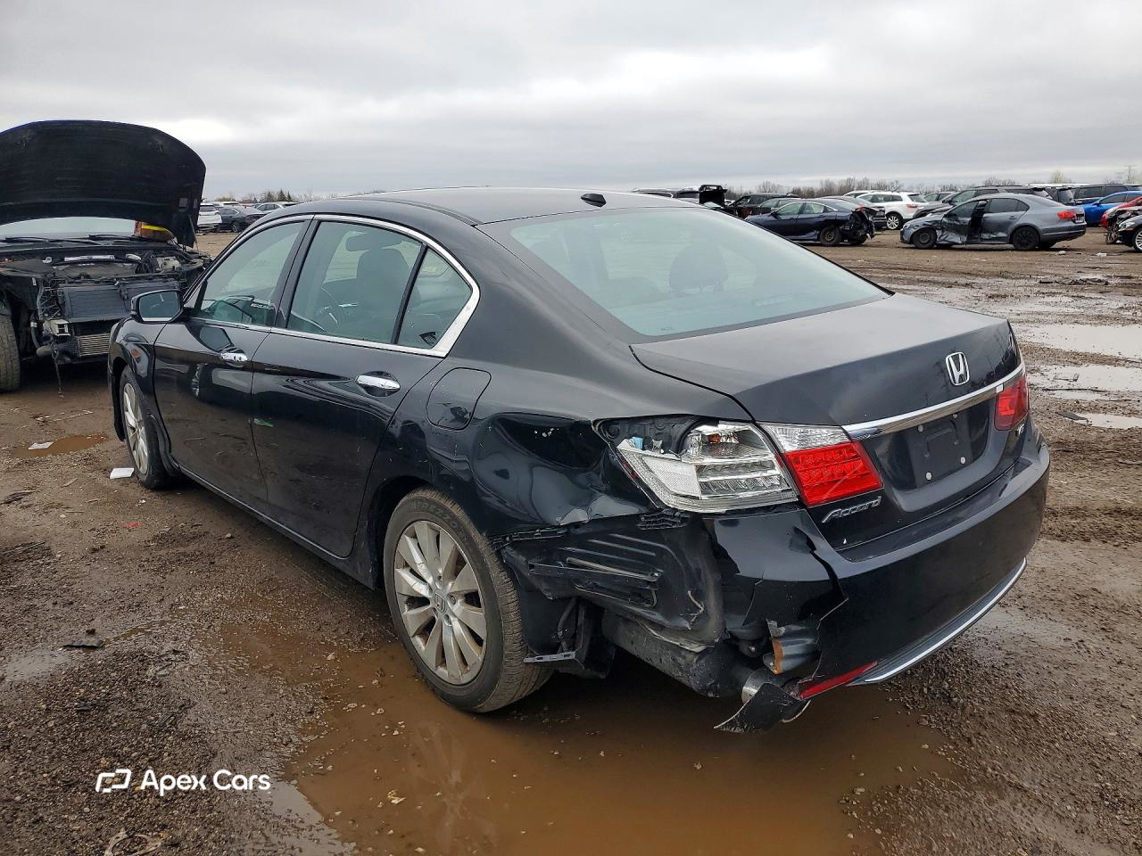 Honda Accord 2013