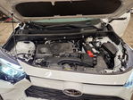 Toyota RAV 4 2025