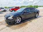 Nissan Maxima 2011