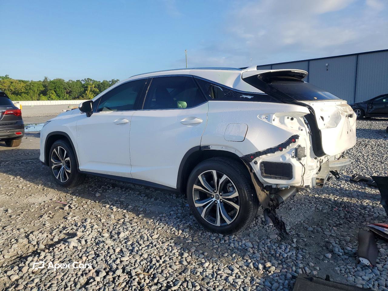 Lexus RX 2020