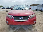 Lexus RX 2010