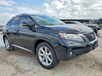 Lexus RX 2011