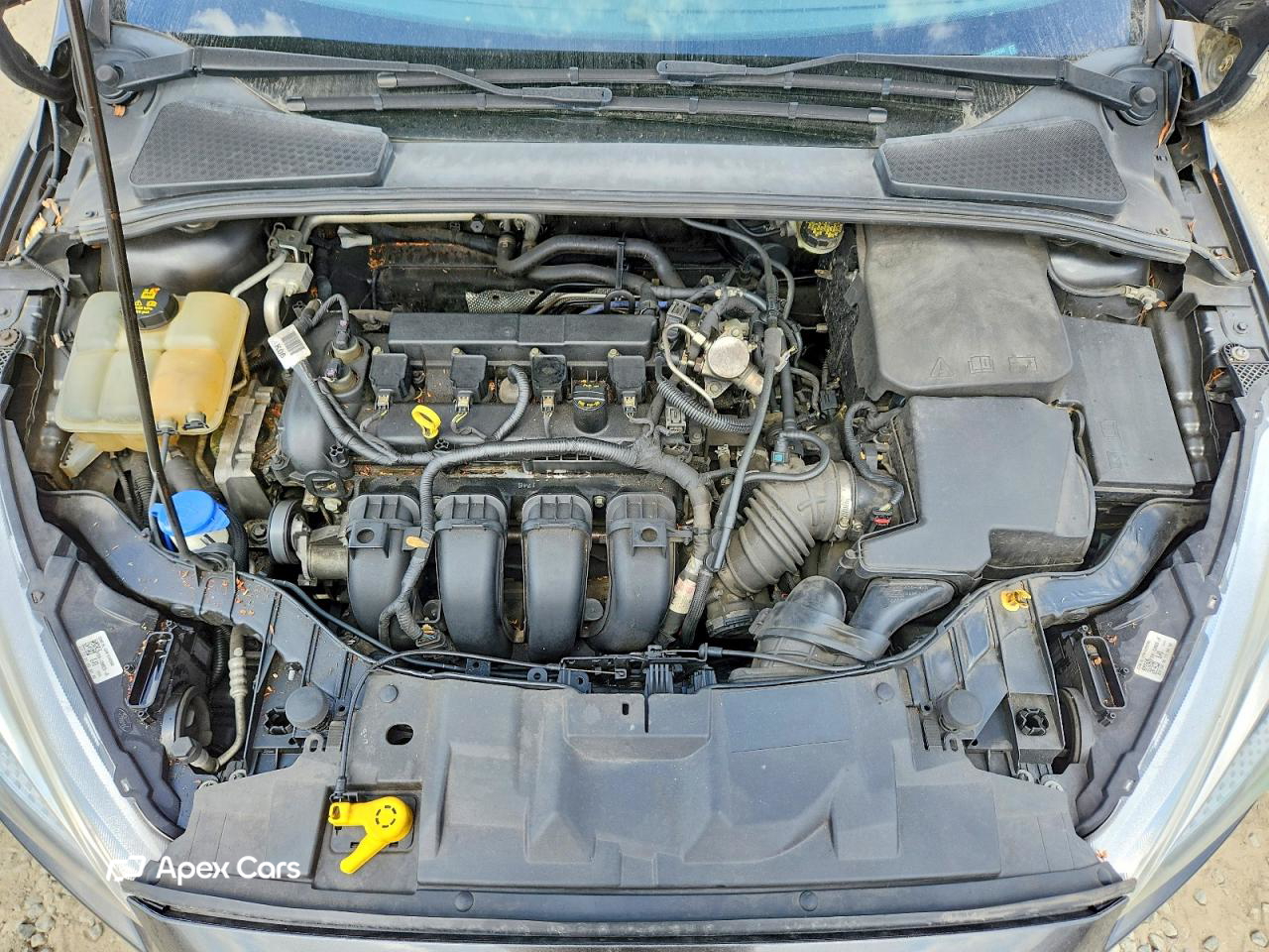 Ford Focus 2016