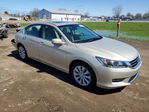 Honda Accord 2013