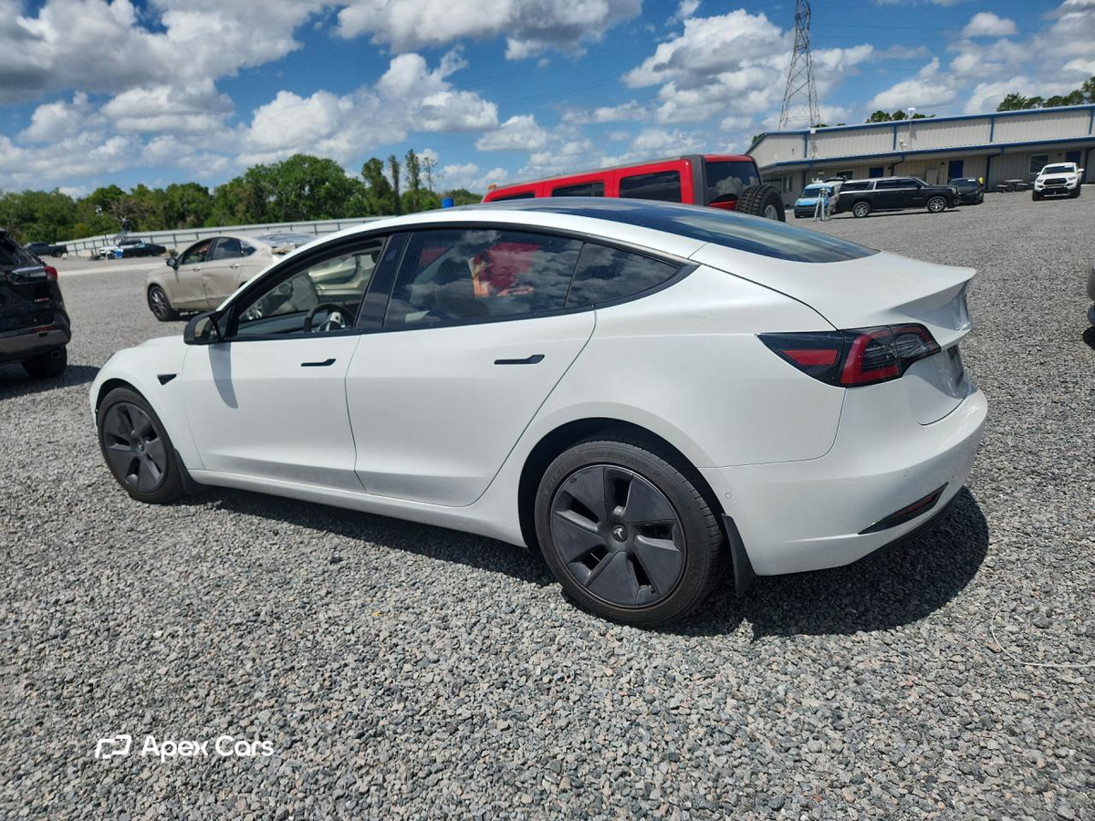 Tesla Model 3 2021