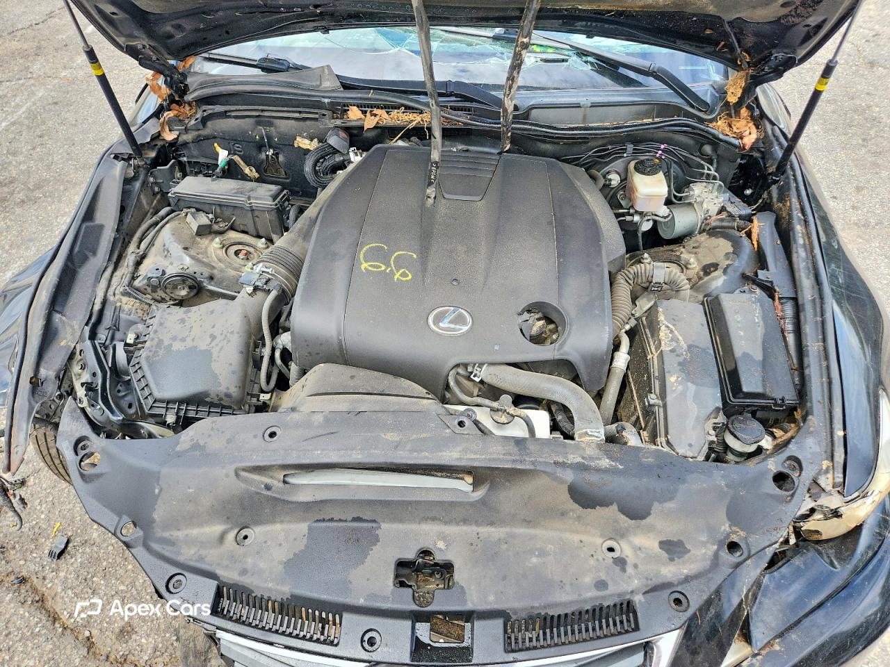 Lexus IS 2014