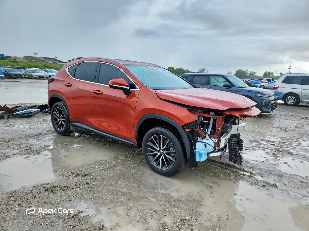 Lexus NX 2023