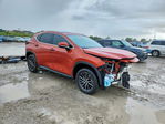 Lexus NX 2023