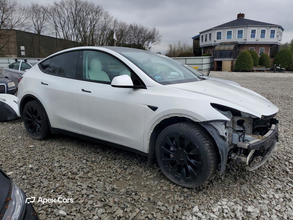 Tesla Model Y 2020